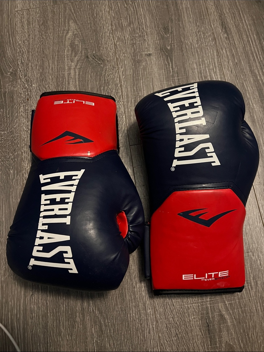 Everlast Boxing Gloves in Navy and Red